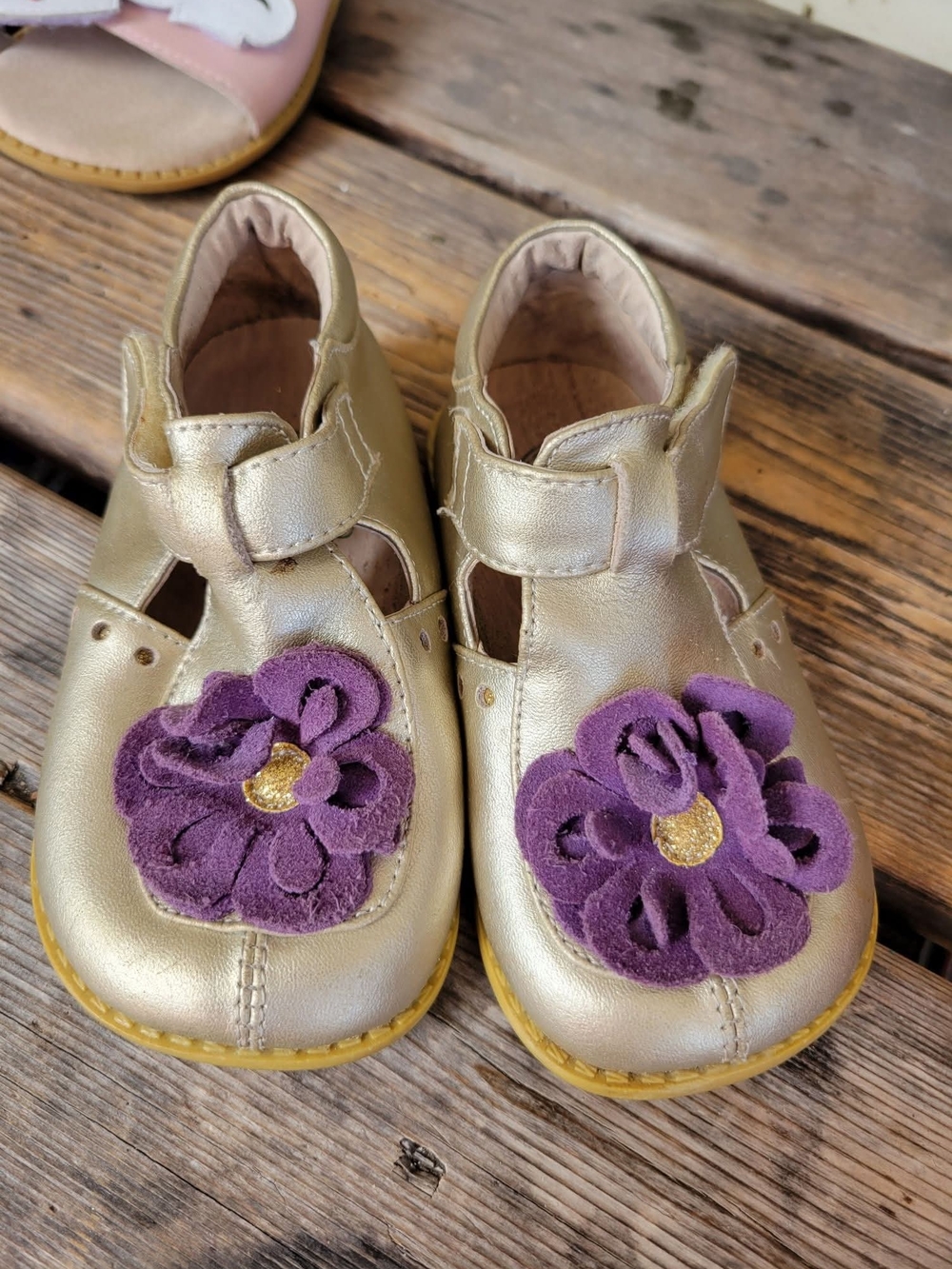 LIVIE & LUCA SZ 8C VGUC  shimmery GOLD leather w/ PURPLE 🌼 FLOWER velcro Shoes